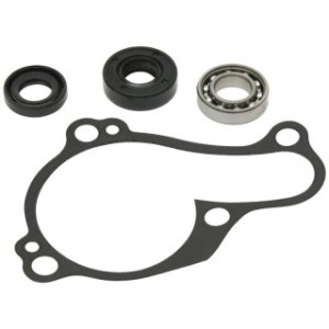 Kit de reparación de bomba de agua HOT RODS  - 1118627 - Motoshop